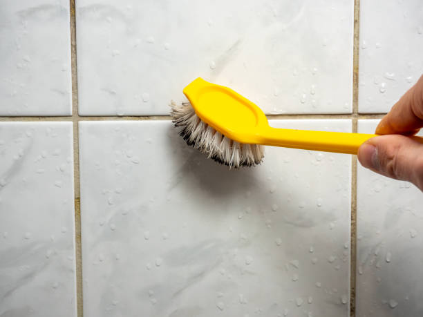 Mold Removal Process in Philipsburg, MT