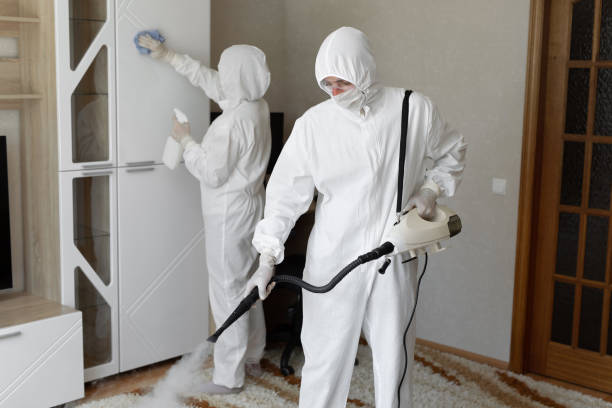 Certified Mold Removal in Philipsburg, MT