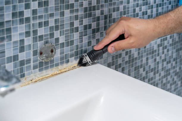 Home Mold Removal in Philipsburg, MT