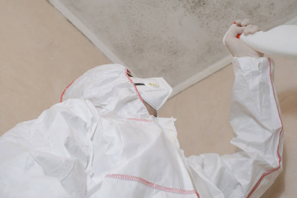 Best Certified Mold Removal  in Philipsburg, MT